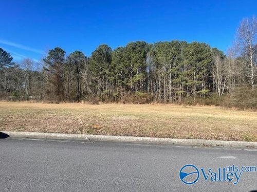 lot-2-lot 2 Summertree Way Ne, Arab, AL, 35016 | Card Image