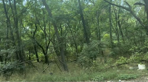 4200 Imperial Dr, Austin, TX, 78725-1357 | Card Image