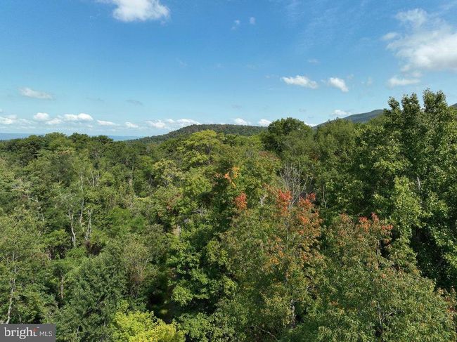 Lot 3 Price Ridge Rd, Home with 0 bedrooms, 0 bathrooms and null parking in STANLEY VA | Image 6