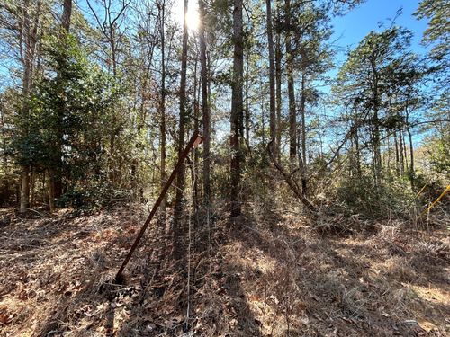 Lot 8 Sir Ewaine Dr, Woodville, TX, 75979 | Card Image