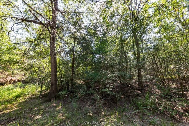 7465 River Oaks Dr, House other with 3 bedrooms, 2 bathrooms and null parking in Iola TX | Image 37