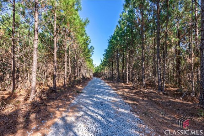 0 Bob Smith Rd, Home with 0 bedrooms, 0 bathrooms and null parking in Stephens GA | Image 7