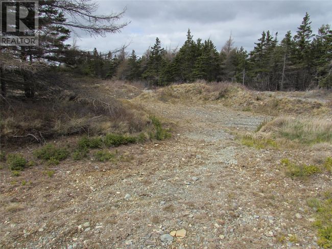 45 New Line Road, Home with 0 bedrooms, 0 bathrooms and null parking in Colliers NL | Image 38