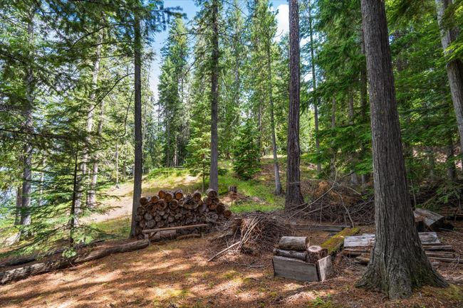 yard | Image 59