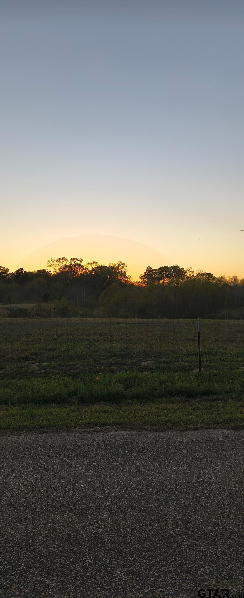 Land in Tyler 3