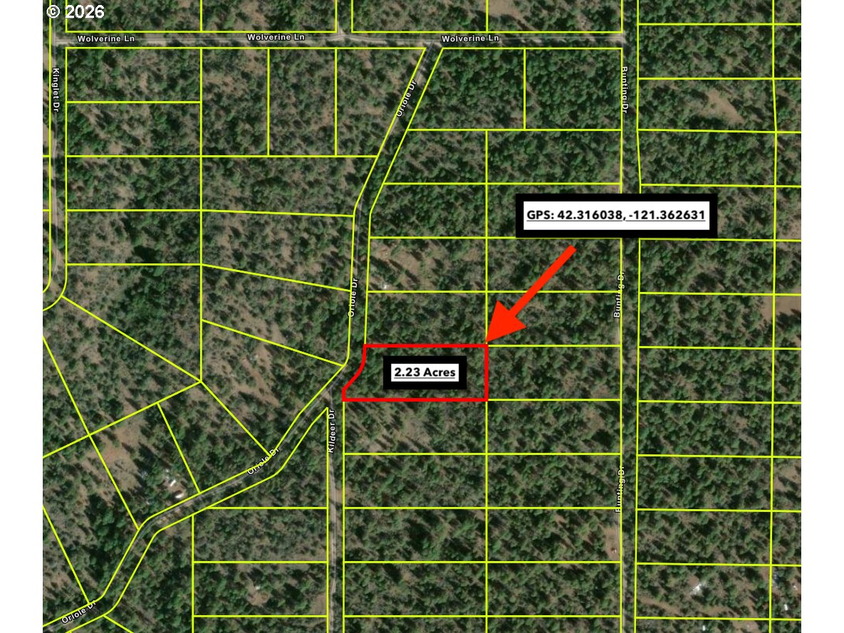 Land in Bonanza 4