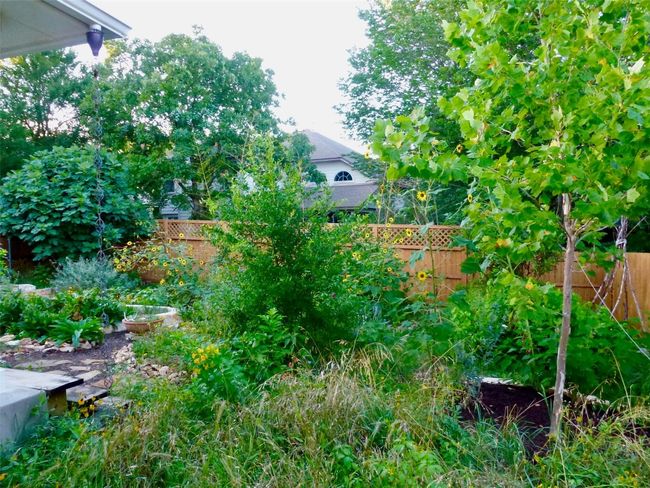 Xeriscaped garden enjoyed by all ages. | Image 27