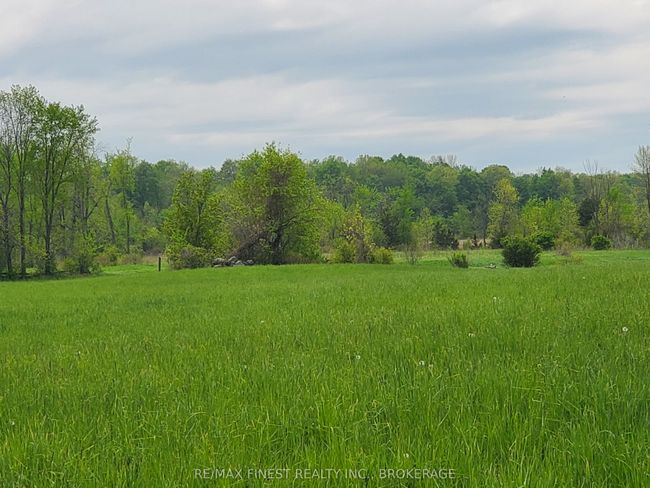 4677 Petworth Rd, Home with 0 bedrooms, 0 bathrooms and null parking in Harrowsmith ON | Image 4
