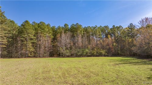 17 Stormi Way, Berry, AL, 35546 | Card Image