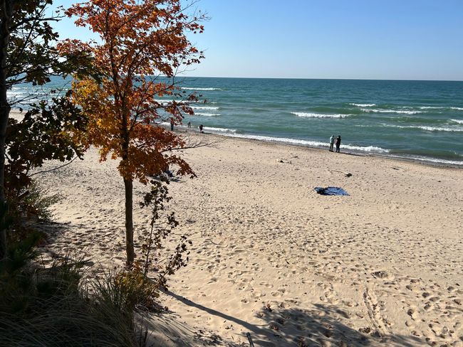 Pilgrim Haven Beach 2 | Image 54