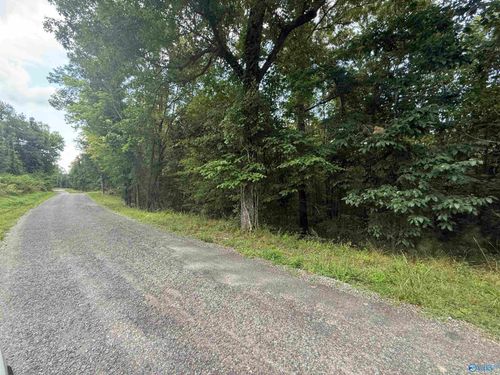 8 acres Bishop Mountain Rd, Grant, AL, 35747 | Card Image