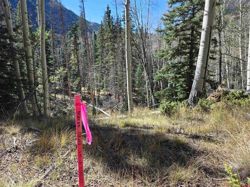 20 Alamosa Ave, Del Norte, CO, 81132 | Card Image