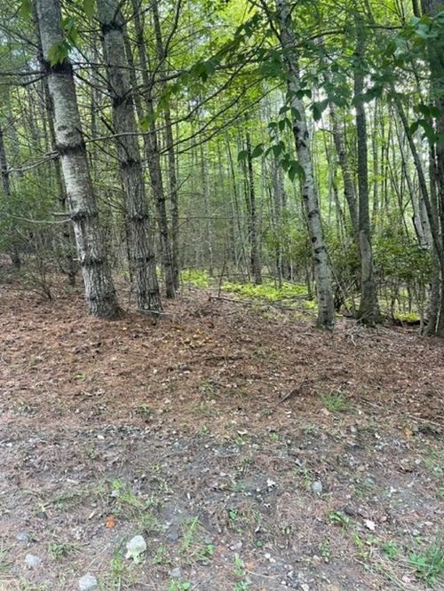 TBD LOT 23 Country Ridge Road, Jefferson, NC, 28640 | Card Image