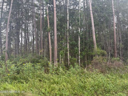 3034 Wintergreen St, Middleburg, FL, 32068-6230 | Card Image