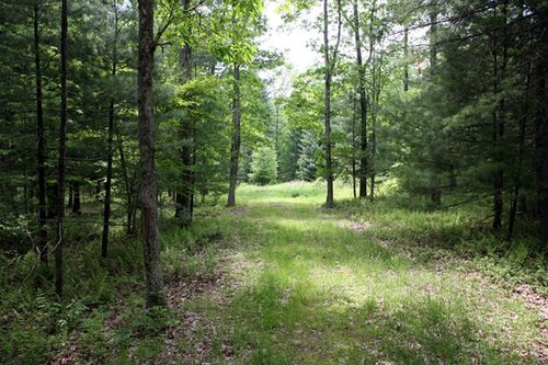 Lot 23 Serenity Dr, Callicoon, NY, 12723-5002 | Card Image