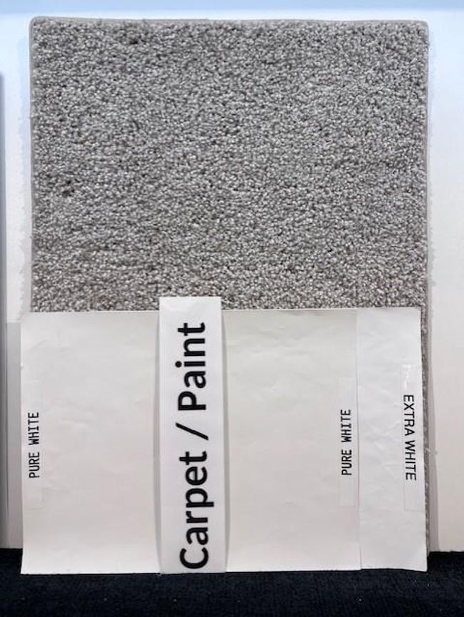 Carpet and paint color | Image 9