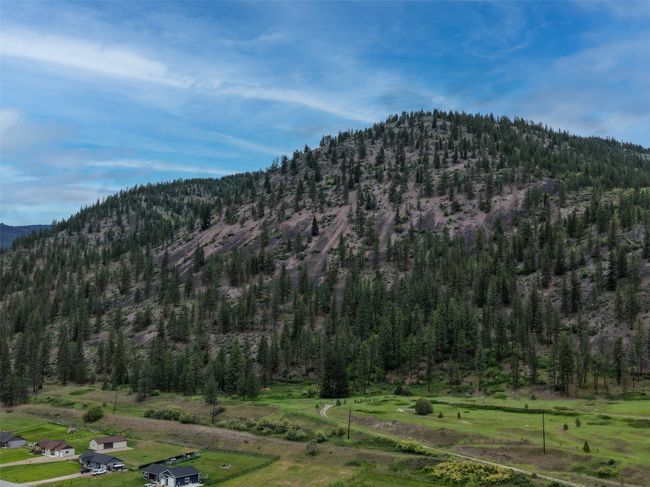 View of mountain backdrop featuring a heavily wooded area | Image 50