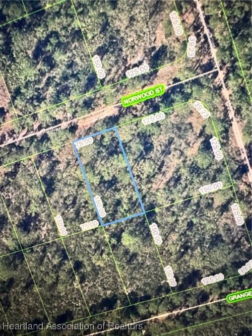 1017 Norwood St, Lake Placid, FL, 33852 | Card Image