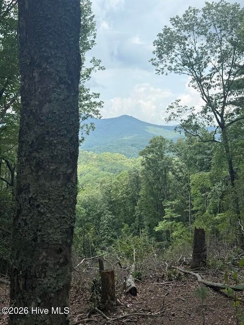 Tbd Lot 43 Pine Cove Ln, Murphy, NC, 28906 | Card Image