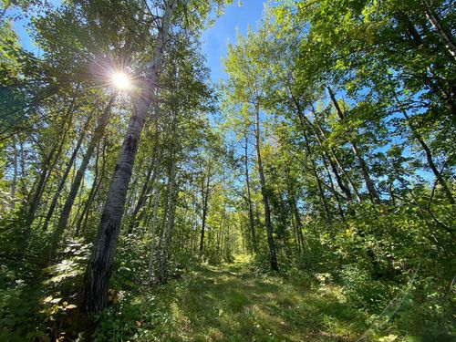 4048 Little Rd, Barnum, MN, 55707-9680 | Card Image