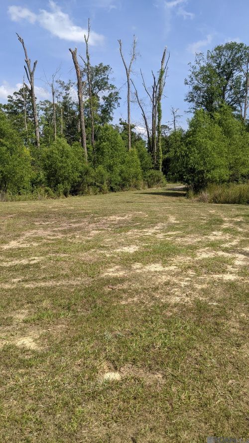 31187 Pace Ln, Walker, LA, 70785-5411 | Card Image