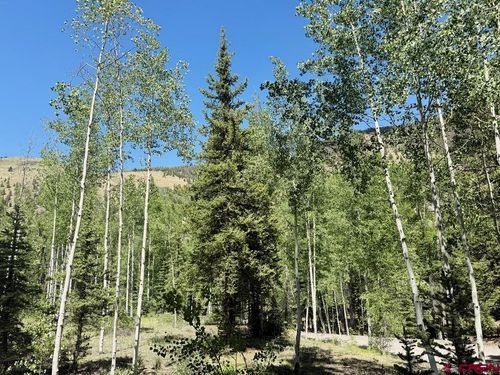 2621 Silver Coin Ln, Lake City, CO, 81235-5360 | Card Image