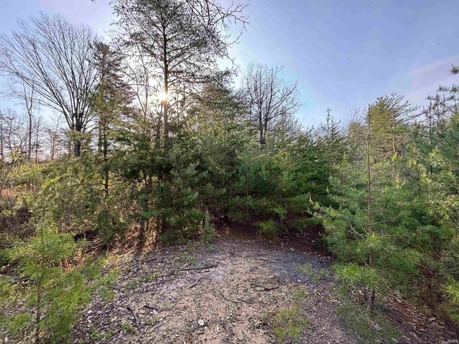 10321 W 750 N, Home with 0 bedrooms, 0 bathrooms and null parking in Jasonville IN | Image 8