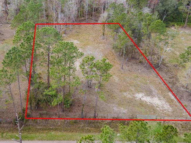 1718 Papaya St, Home with 0 bedrooms, 0 bathrooms and null parking in BUNNELL FL | Image 11