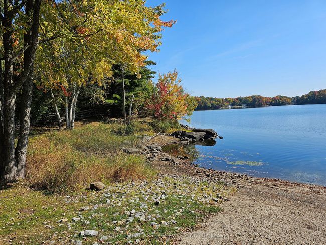 534 Oak Bluffs Rd, Home with 0 bedrooms, 0 bathrooms and null parking in Maberly ON | Image 7