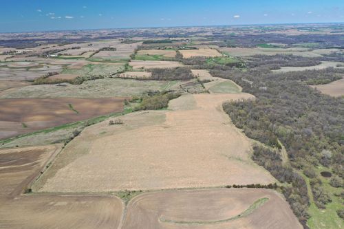 TBD 375th Ave, Zumbro Falls, MN, 55991 | Card Image