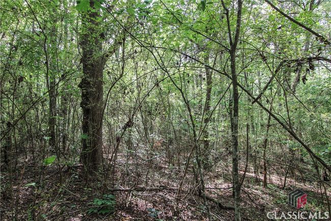 1040 Bridlegate Dr, Home with 0 bedrooms, 0 bathrooms and null parking in Watkinsville GA | Image 6