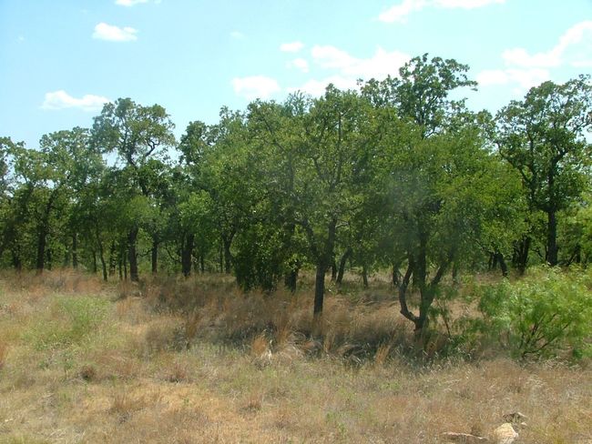 Lot 265 Ridgeline Dr, Home with 0 bedrooms, 0 bathrooms and null parking in Chico TX | Image 7