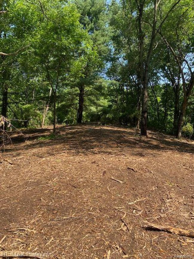 6 Sleaford Parcel 6   2.1 Acres Road, Home with 0 bedrooms, 0 bathrooms and null parking in Howell Township MI | Image 13