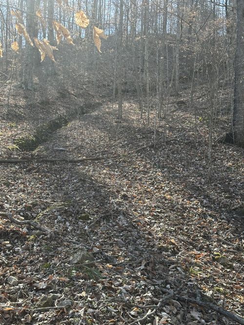 0 Buck Branch Rd N, Duck River, TN, 38454 | Card Image