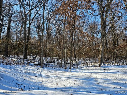 TBD Meisenheimer Ave, Hillsboro, IL, 62049 | Card Image