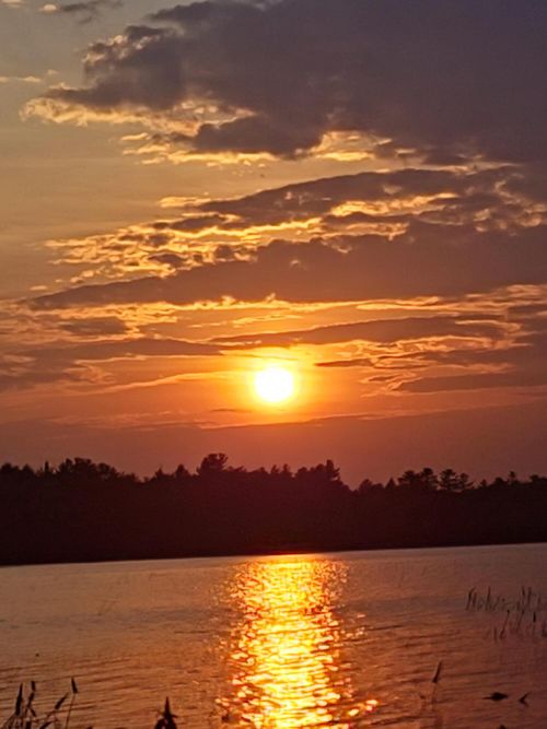 6 Wilderness Way, Wesley, ME, 04686 | Card Image