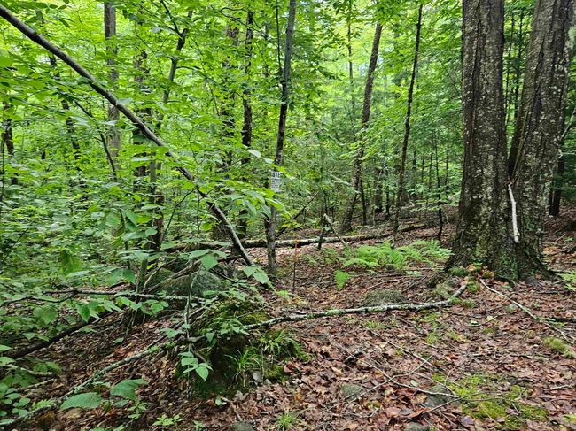 4000-ANDAMP-5000 - 00 Snowshoe Hill Rd, Home with 0 bedrooms, 0 bathrooms and null parking in Canterbury NH | Image 12