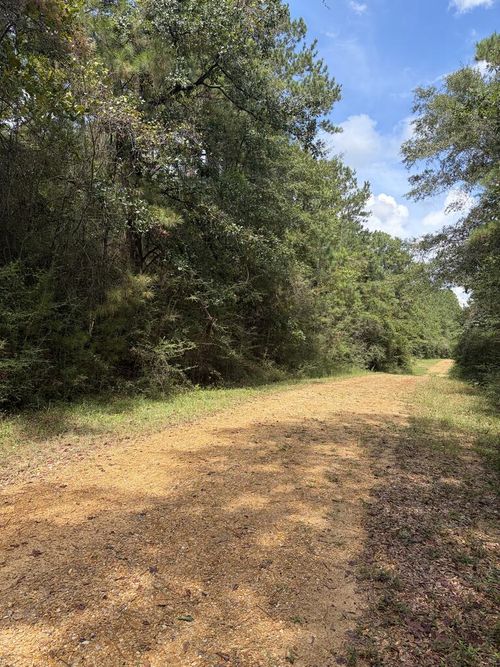 NHN Pinecroft Dr, Poplarville, MS, 39470 | Card Image