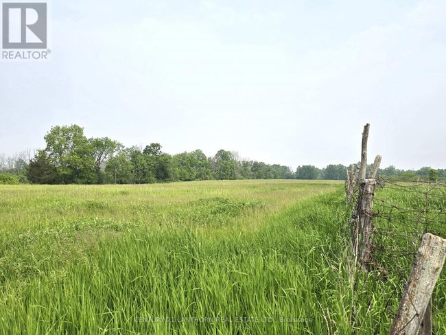4893 Old Highway 2 Highway, Home with 4 bedrooms, 2 bathrooms and 9 parking in Belleville (Belleville Ward) ON | Image 21