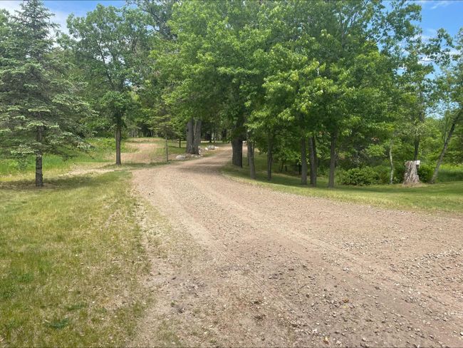 Beautiful tree lined driveway! | Image 12