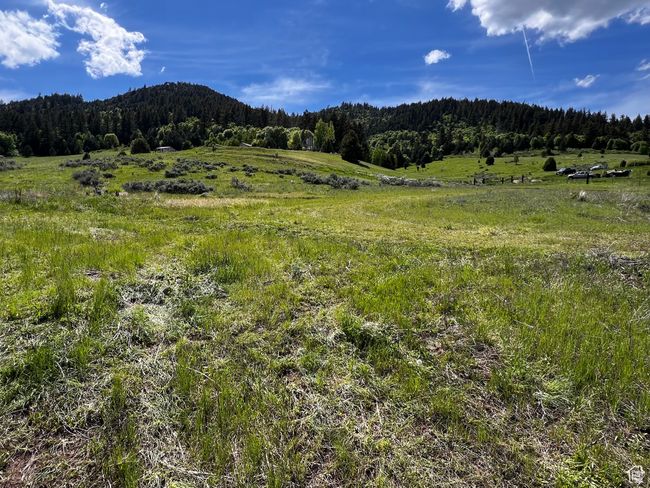 View of mountain backdrop with a forest and rural landscape | Image 39