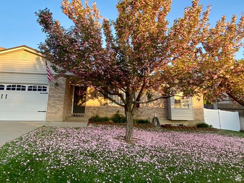 428 N 1180 E, Pleasant Grove, UT, 84062-2576 | Card Image