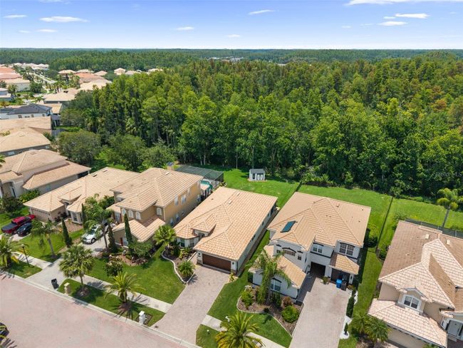 10880 Cory Lake Dr, House other with 3 bedrooms, 2 bathrooms and null parking in TAMPA FL | Image 44