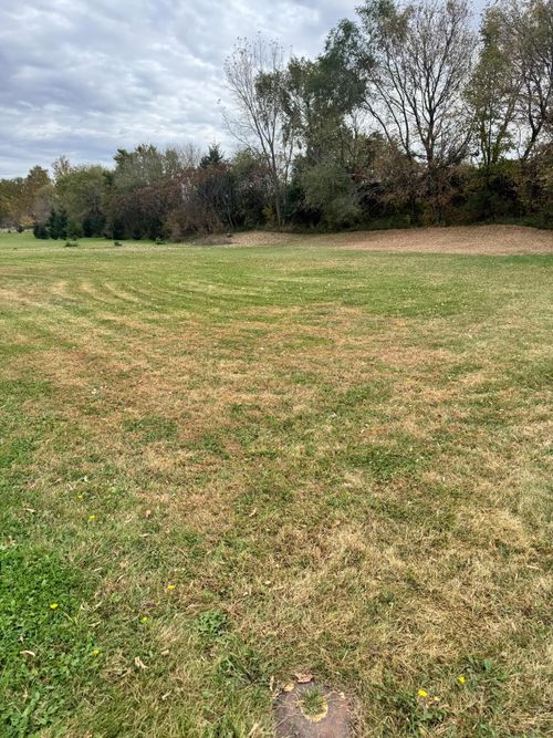 2319 Lake Ave, New Ulm, MN, 56073-4902 | Card Image