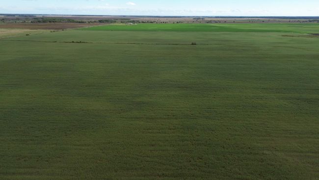 DJI_0015.JPG | Image 7