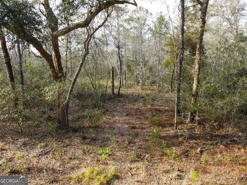 lot-8-0 Floyd Rd, Pembroke, GA, 31321 | Card Image