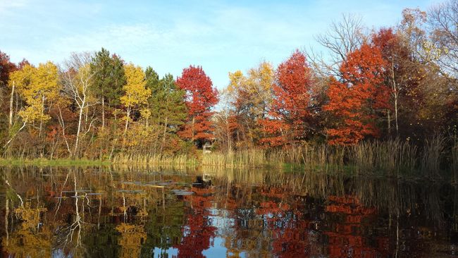 Looking across the pond toward the house in the fall. It's all part of the property. | Image 83