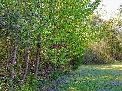 TBD Borger, Livingston, TX, 77351 | Card Image