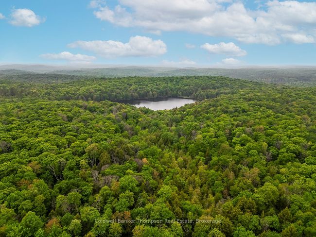 579 S Waseosa Lake Rd, House other with 3 bedrooms, 2 bathrooms and 10 parking in Huntsville ON | Image 49