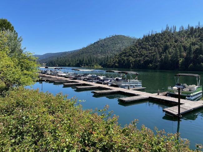 Boats in Slips | Image 7